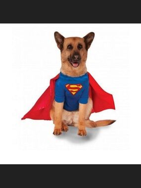 DC Superman Classic Halloween Pet Costume Cape Dog Shirt Small